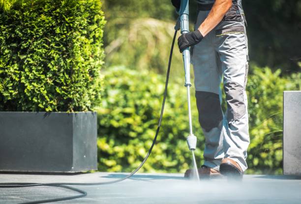 Best Solar Panel Cleaning  in San Benito, TX