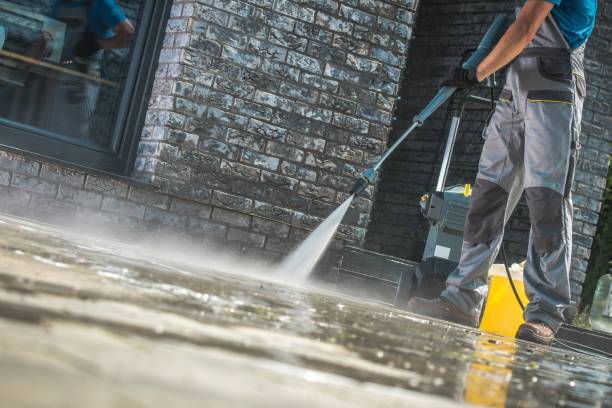 Best Soft Washing  in San Benito, TX