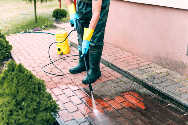 Reliable San Benito, TX Pressure Washing Services Solutions