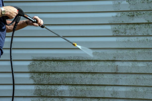 Best House Exterior Washing  in San Benito, TX