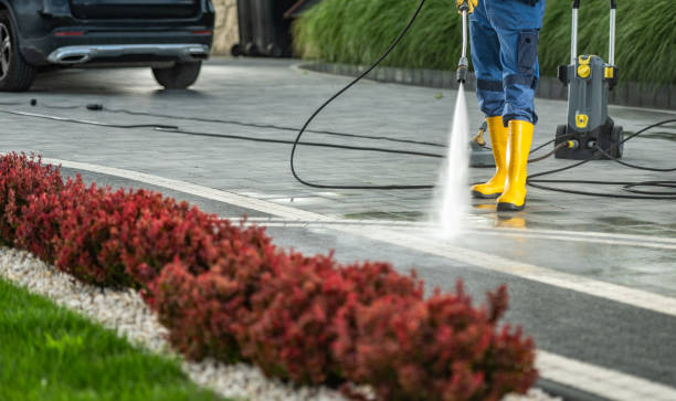 Best Factory Floor Cleaning  in San Benito, TX